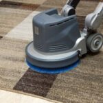 Improving Home Comfort and Health with Professional Carpet Cleaning