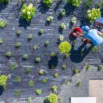 Bird's-eye view of a flourishing garden, featuring an array of plants arranged harmoniously in a picturesque setting.