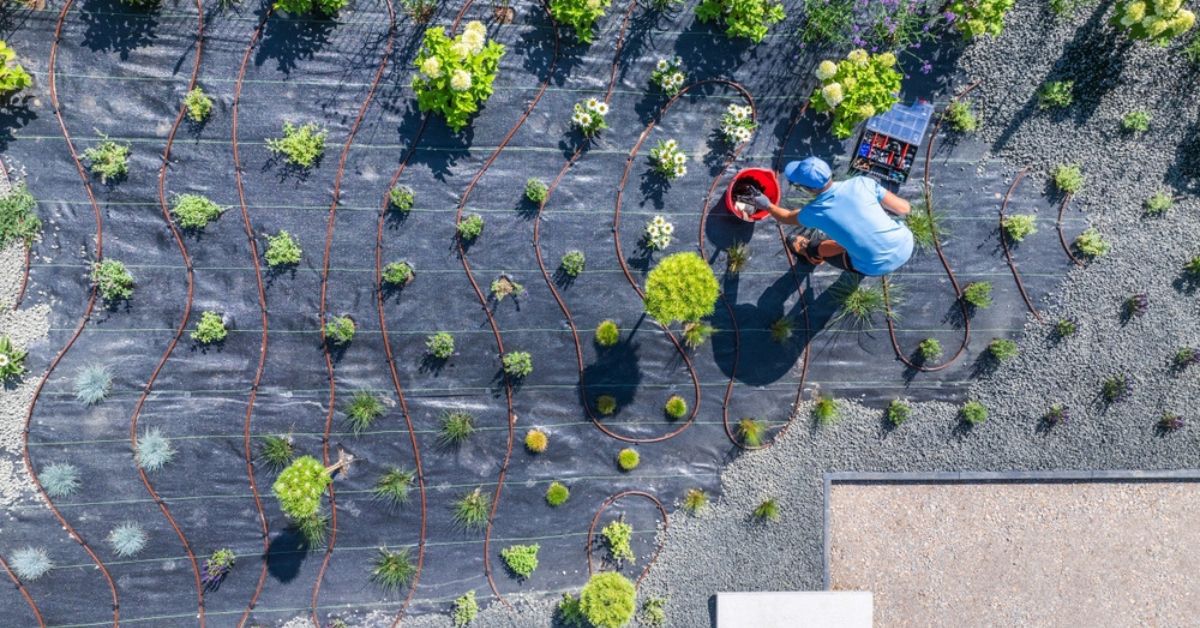 Bird's-eye view of a flourishing garden, featuring an array of plants arranged harmoniously in a picturesque setting.