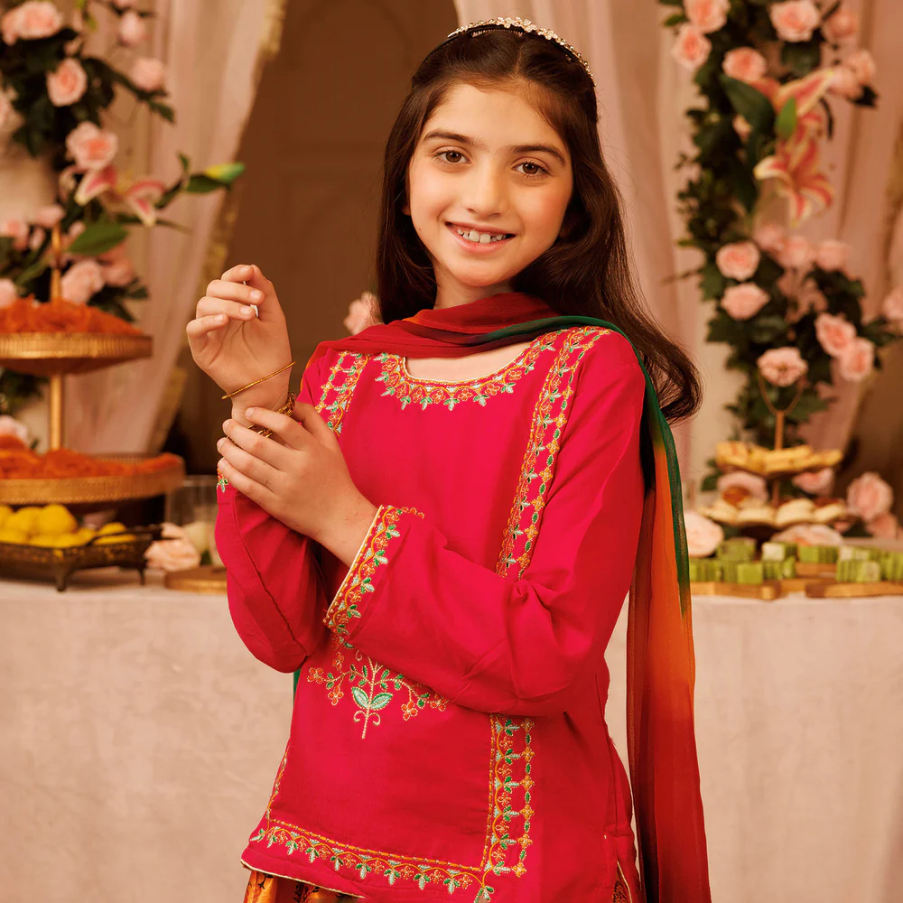 Pakistani Suits for Girls – Shop Stylish Suits Online?
