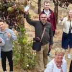 Why Wine Lovers Are Flocking to Sonoma for Tours in 2025