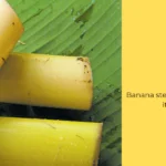 Banana Stem Juice for Kidney Stone