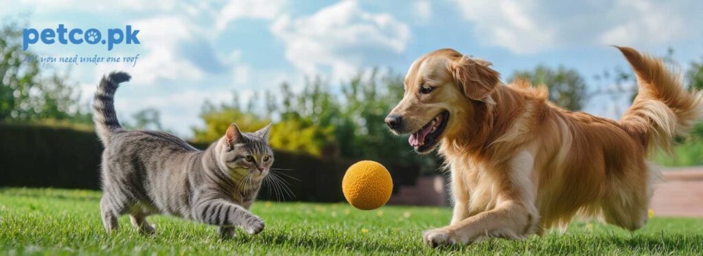 Essential-Pet-Health-Tips-for-Dogs-and-Cats-