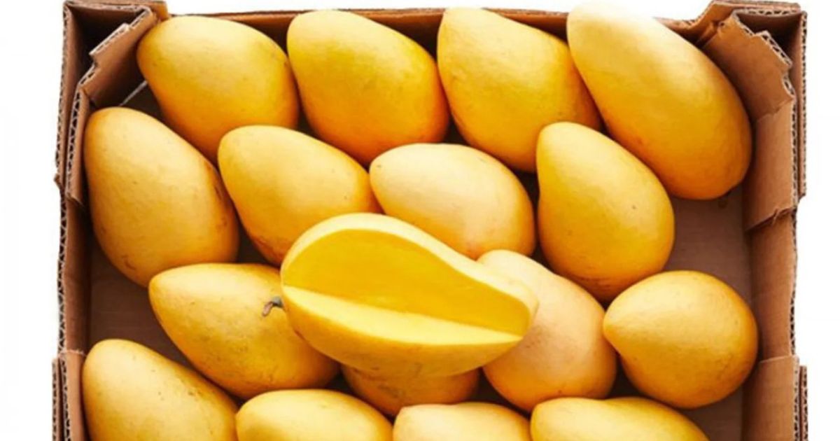Pakistani Mango Price in Pakistan