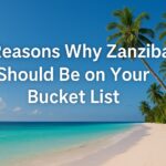 Zanzibar Island ZAFS Tours