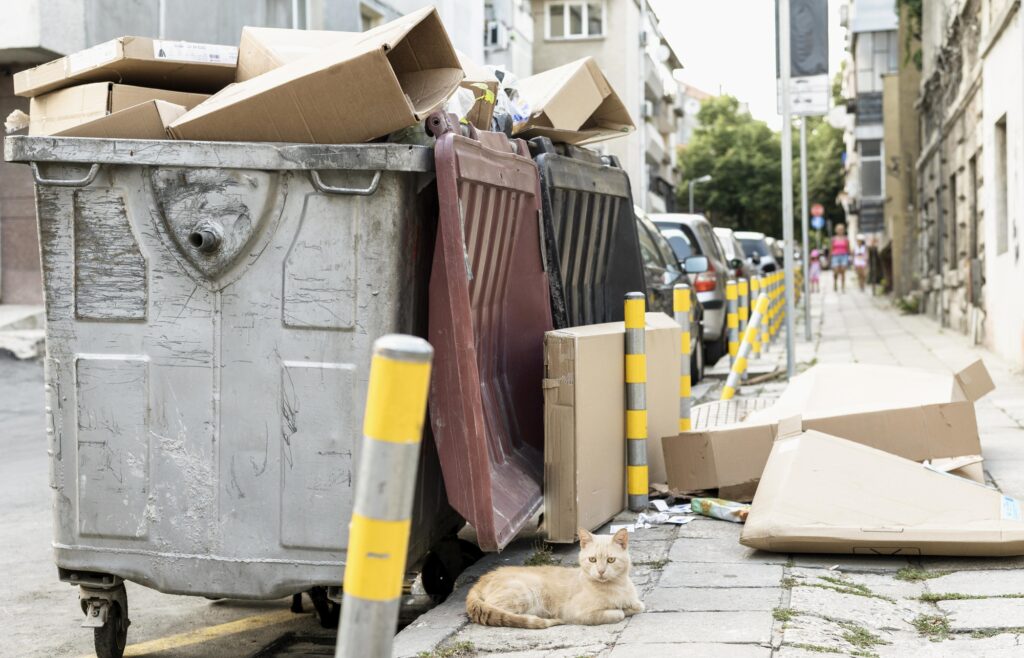 Simplifying Pet Waste Cleanup: GoGo Stik’s Innovative Solutions for Responsible Pet Owners