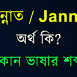 জান্নাত নামের অর্থ কি: একটি অর্থবহ ইসলামিক নামের বিশ্লেষণ