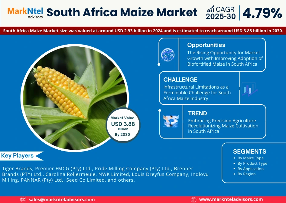 South Africa Maize Market to Witness 4.79% CAGR Growth Amid Rising Demand and Innovation