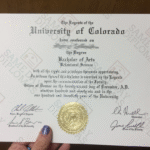 Online Diplomas: Why They Motivate More Than Traditional Degrees