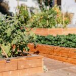 Garden Planter Box/Self Watering Planter Box