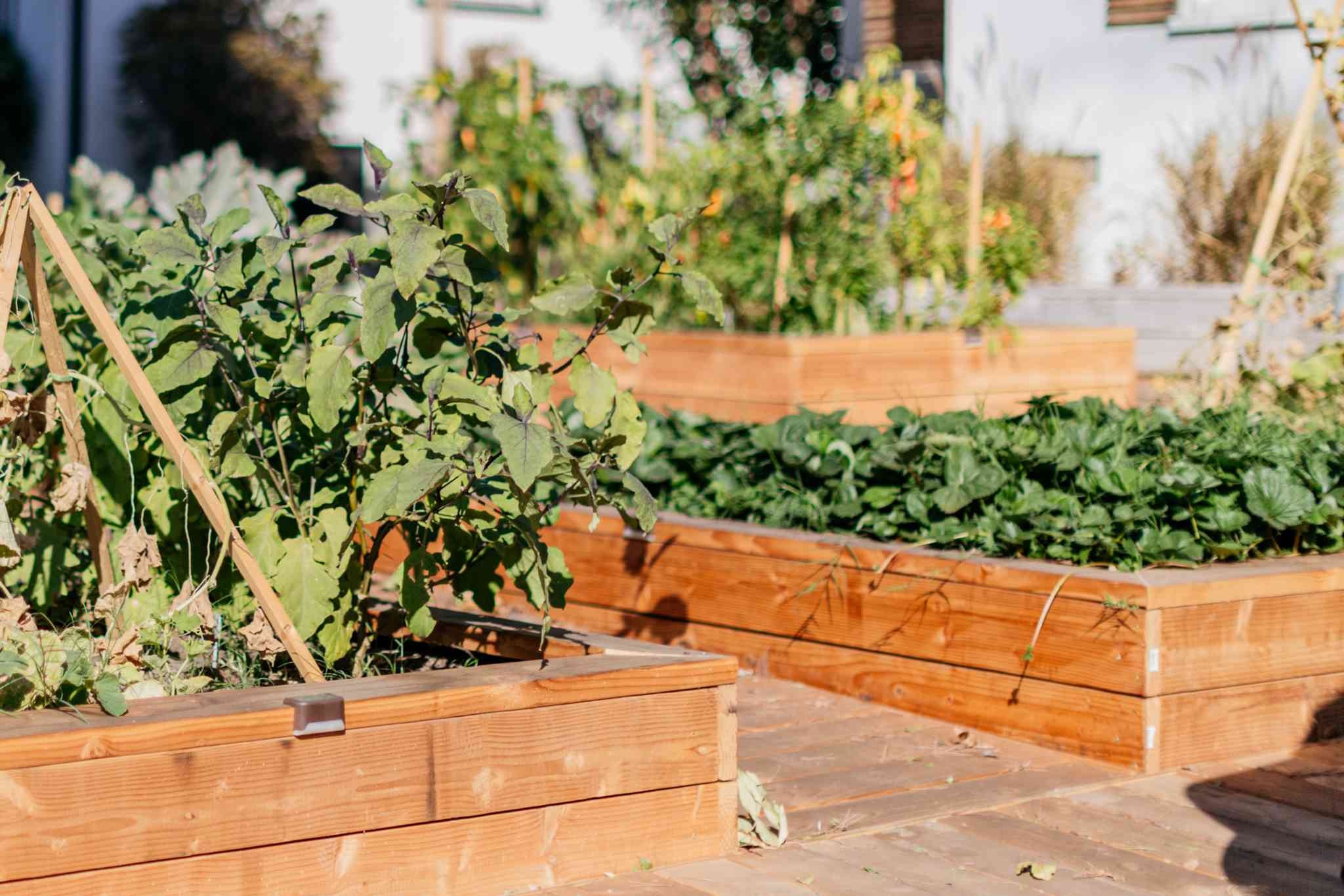 Garden Planter Box/Self Watering Planter Box
